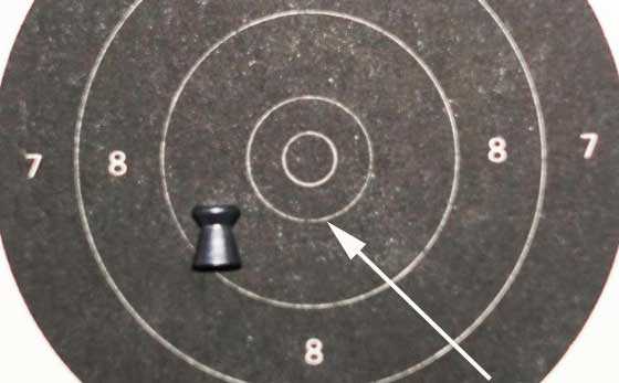 10 meter pistol target