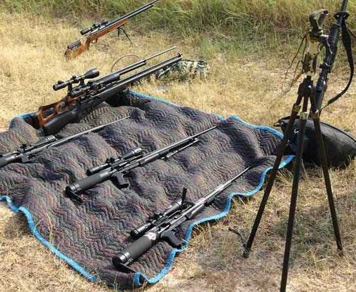 2015 airgun show Texans