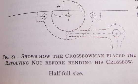 crossbow nut