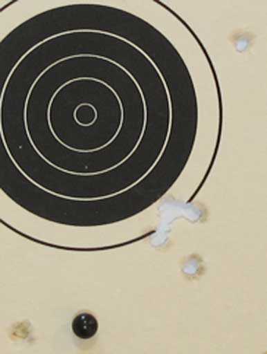 Hornady target