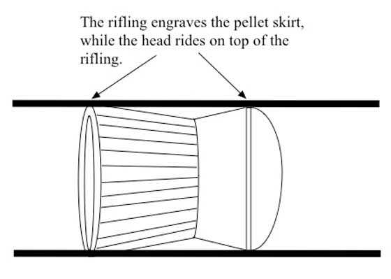 Diabolo pellet in barrel