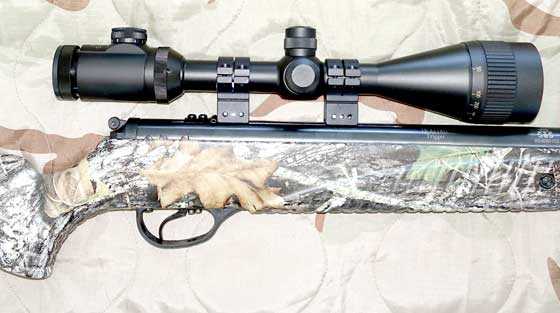 Hatsan 85 scope