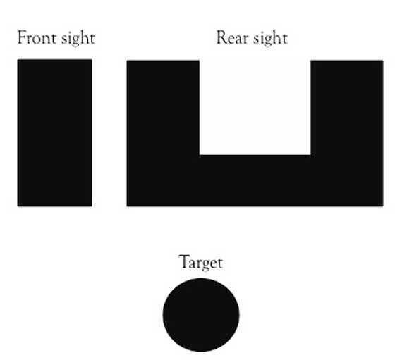 pistol sight elements