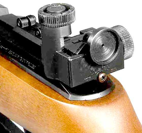 Daisy 853 rear sight