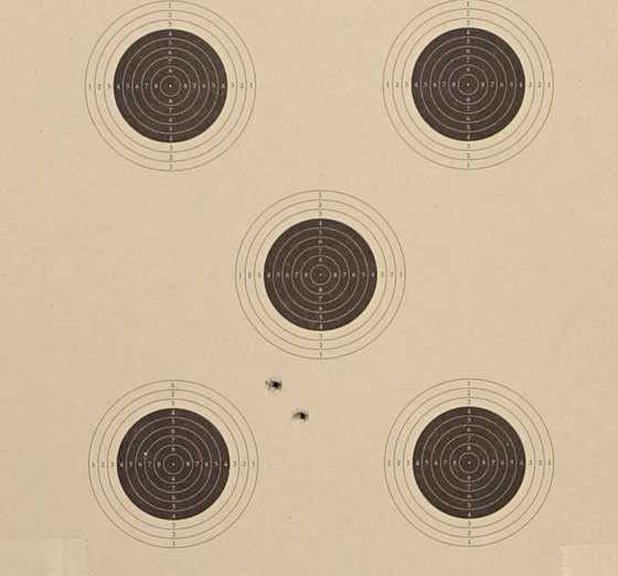 Beeman Double Barrel air rifle first shot