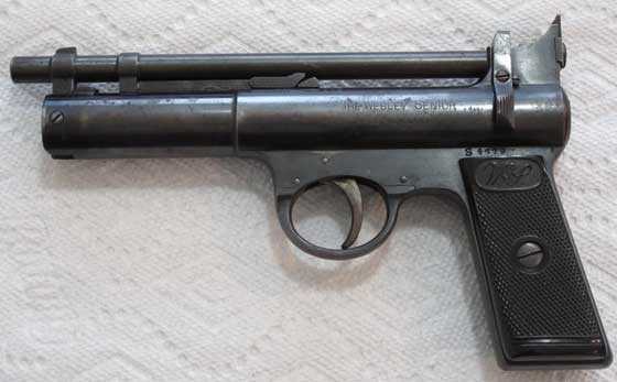 Webley Senior