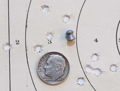 Beeman Double Barrel Falcon target