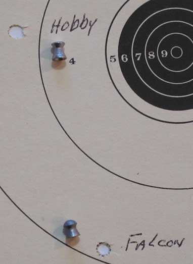 Beeman Double Barrel two pellets target