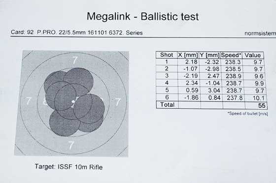 Kral Puncher Pro test target