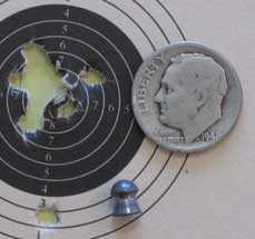 Crosman Premier lite target