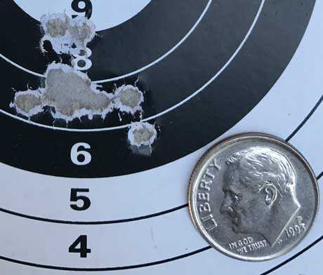Beeman R7 Air Arms domed light target