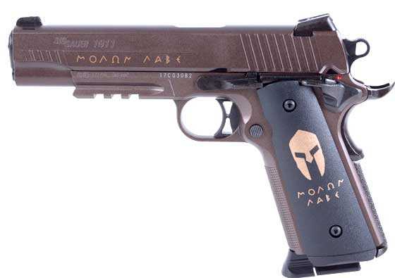 Sig Spartan BB pistol