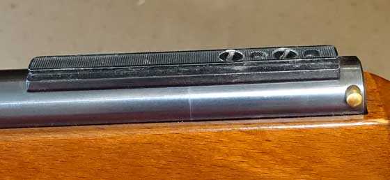 R10 scope rail