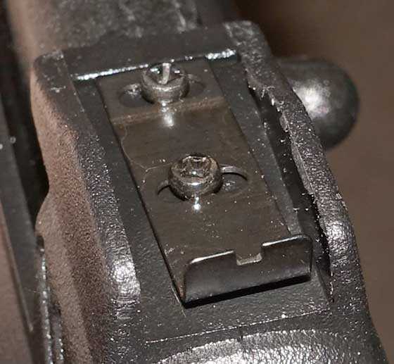 Strike Point rear sight