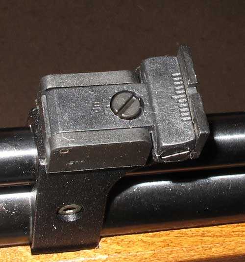 Seneca Dragonfly rear sight