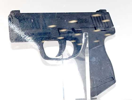 Sig 365 BB pistol