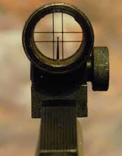 unusual front sight