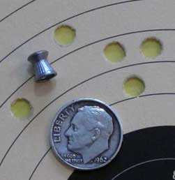 Crosman 102 Hobby target