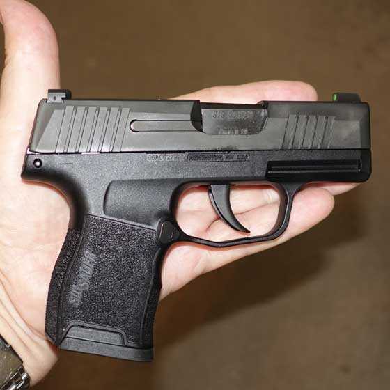 Sig P365