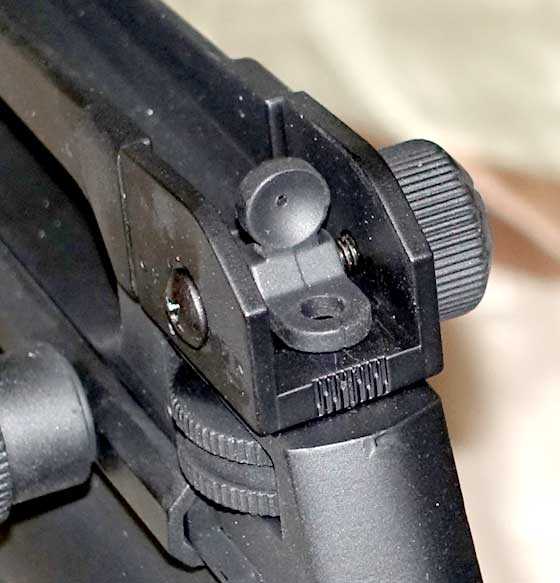 Hellboy rear sight