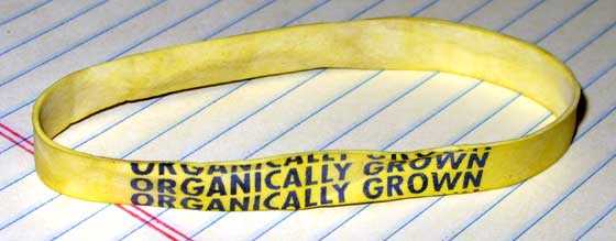 Sharpshooter yellow band