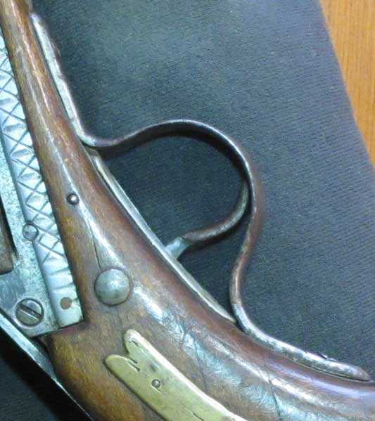 trigger and triggerguard