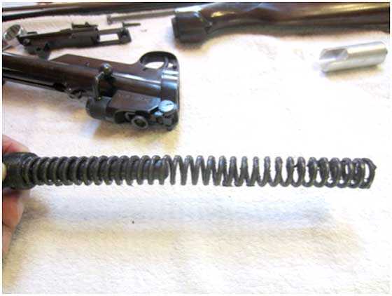 plug spring guide and spring