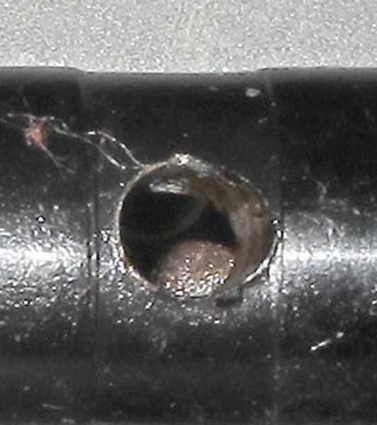 inner cage detail