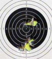 Sig ASP20 double group