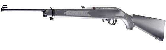 Ruger 10/22 pellet rifle