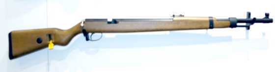 Diana Mauser PCP