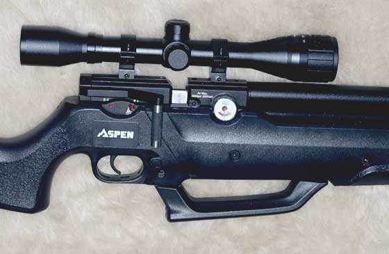 Seneca Aspen PCP scoped