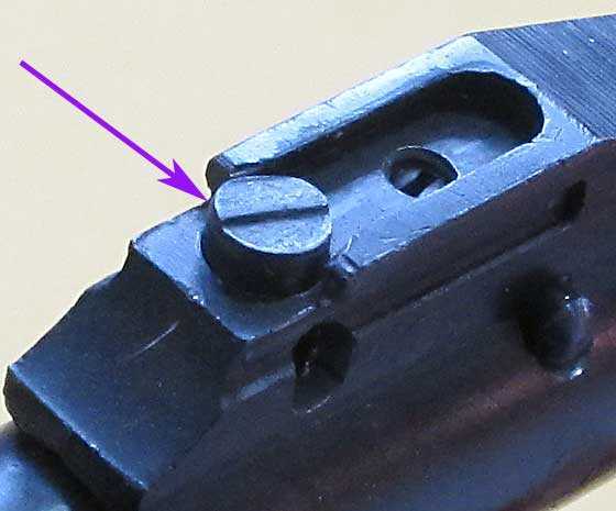 S54 sight plunger