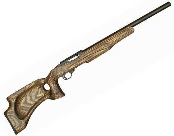 Ruger 10/22 custom