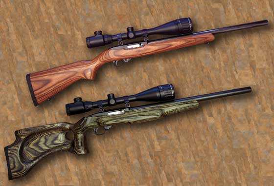 Ruger 10/22 two rifles