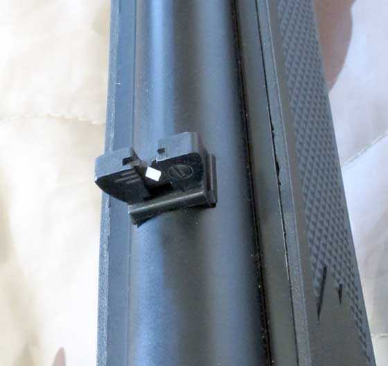10/22 rear sight