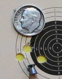 Ruger 10/22 Chinese training group