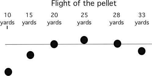 Pellet flight