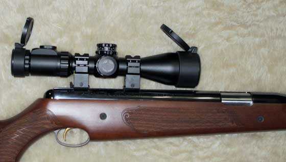 Pro-Sport scoped