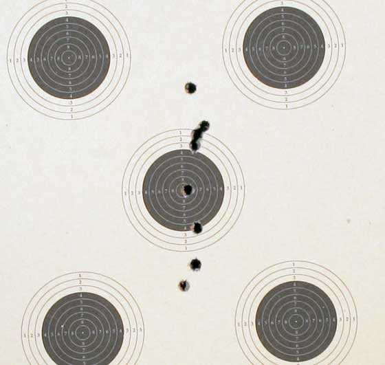 Edge sight target 2