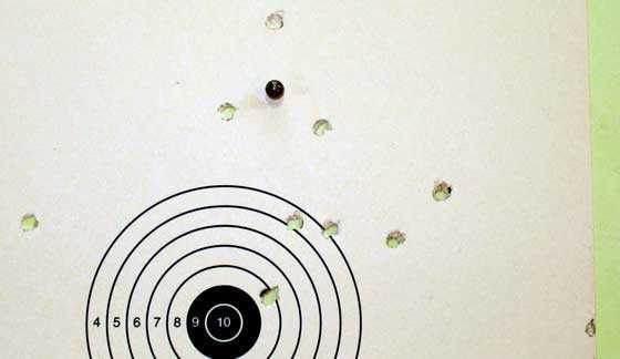 Dartboard Target - Baker Targets - Fun Game Target