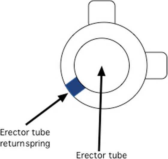 erector tube return spring