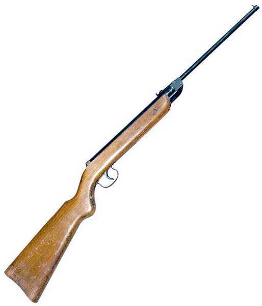 Winchester 422