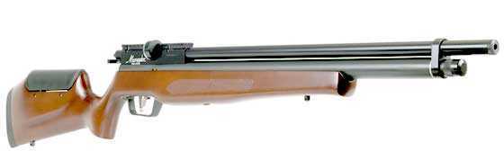 Benjamin Marauder Semiauto