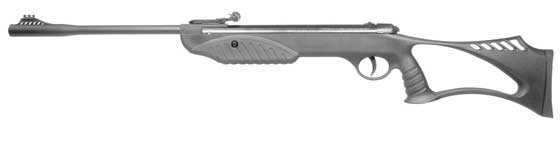 The Ruger Explorer