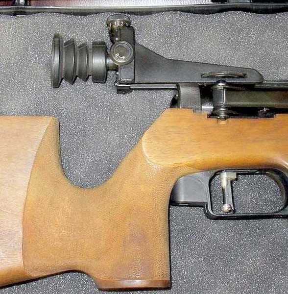 Diana 75 rear sight