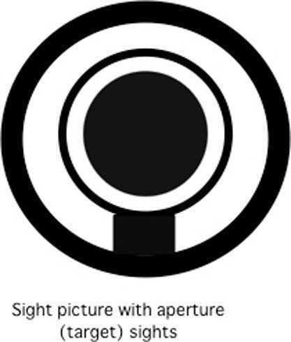 sight picture aperture sight