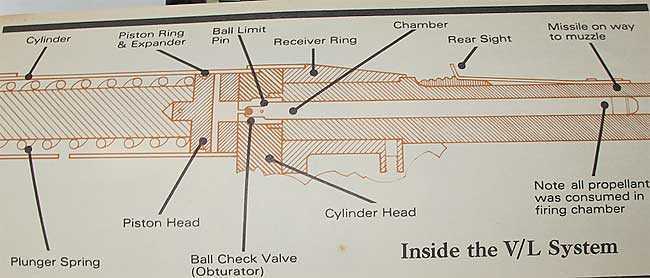 Daisy VL illustration