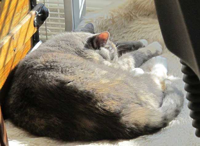 Dale sunbeam