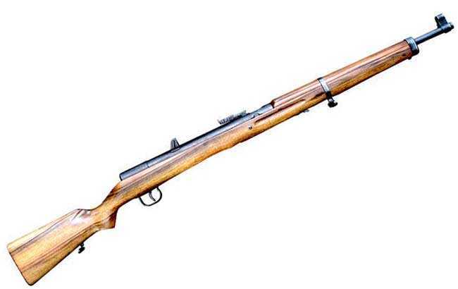 Hakim pellet rifle